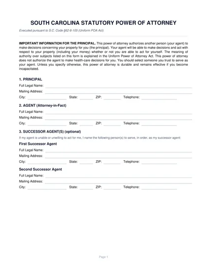 south carolina power of attorney form
