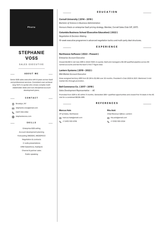 sales executive resume template